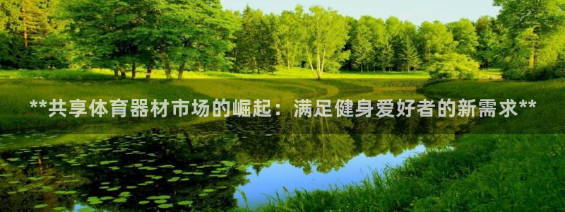 尊龙凯时为什么不封：**共享体育器材市场的崛起：满足