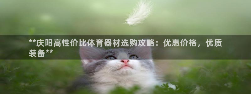 凯时最新官方APP下载：**庆阳高性价比体育器材选购