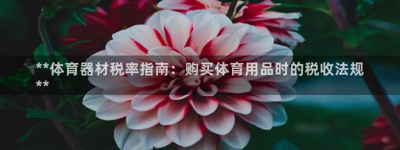 尊龙凯时官网网页版：**体育器材税率指南：购买体育用
