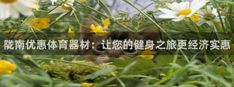 尊龙下载推荐网站：陇南优惠体育器材：让您的健身之旅更