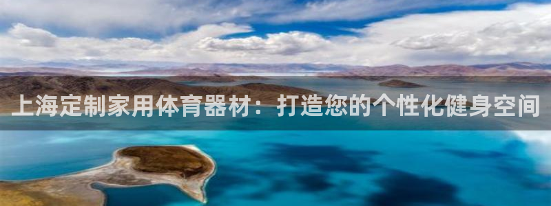 尊龙人生就是博旧版现金娱乐一下：上海定制家用体育器材