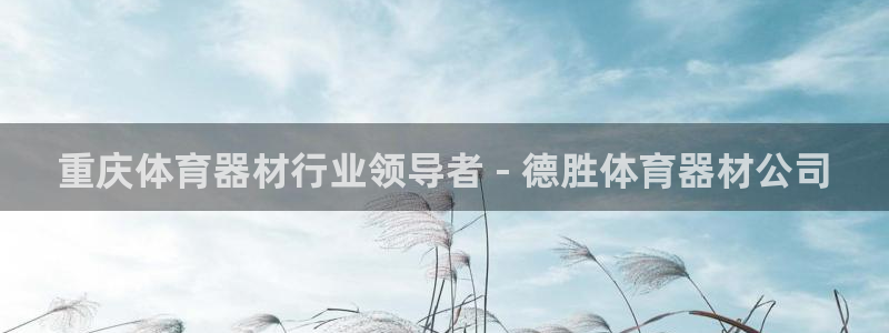 尊龙官网网页版：重庆体育器材行业领导者 - 德胜体育