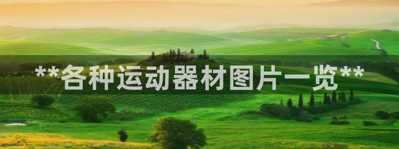 尊龙凯时官网首页：**各种运动器材图片一览**