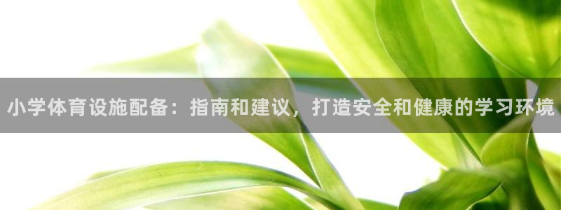 尊龙凯时充值不到账：小学体育设施配备：指南和建议，打