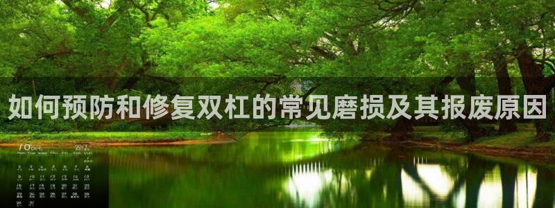 尊龙饰演过的经典角色：如何预防和修复双杠的常见磨损及
