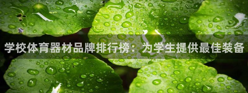 凯时官网的售后服务：学校体育器材品牌排行榜：为学生提
