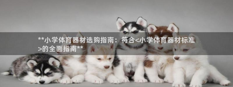 尊龙人生就是博i可靠吗：**小学体育器材选购指南：符