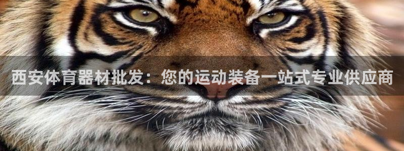 凯时kb88官方：西安体育器材批发：您的运动装备一站