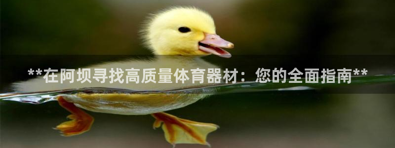 尊龙百度百科：**在阿坝寻找高质量体育器材：您的全面