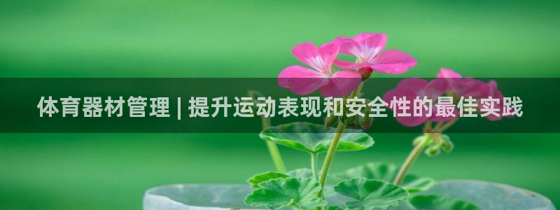尊龙d88官网登录苹果版下载：体育器材管理 | 提升