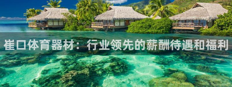 尊龙凯时代理佣金发不发：崔口体育器材：行业领先的薪酬