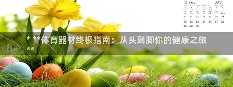 尊龙凯时俱乐部：* **体育器材终极指南：从头到脚你