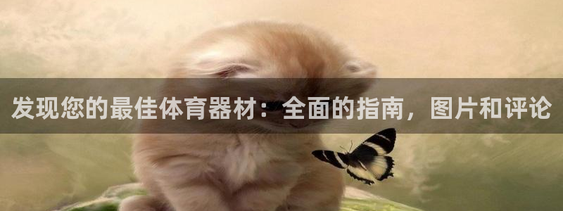 尊龙凯时下载官方正版：发现您的最佳体育器材：全面的指