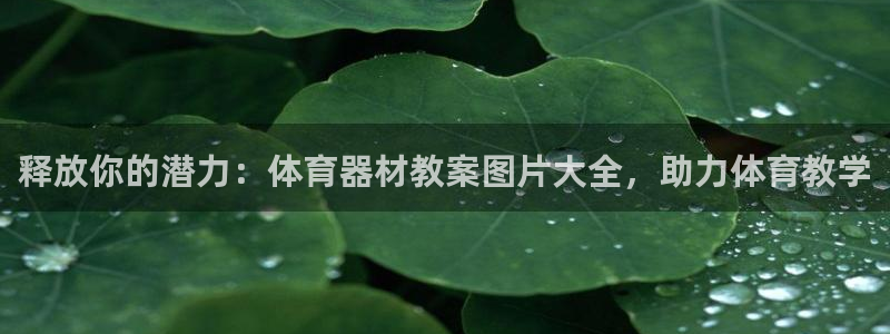 尊龙coming to my own：释放你的潜力：