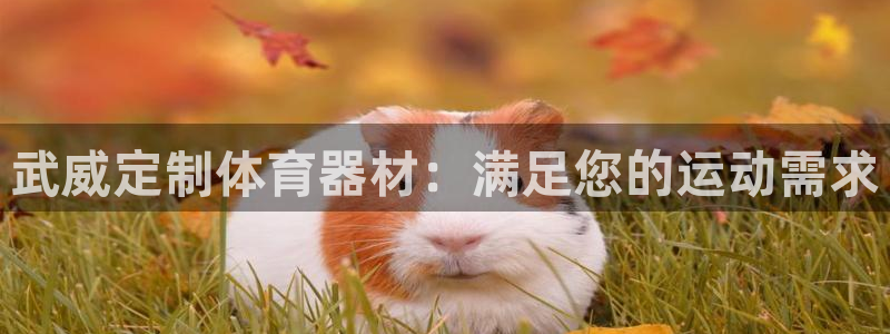 尊龙电子：武威定制体育器材：满足您的运动需求