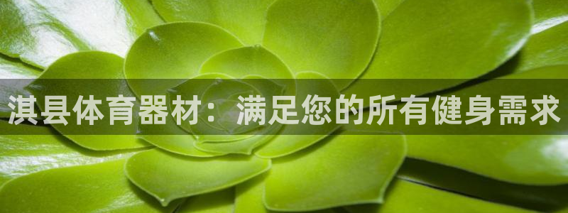 凯时最新官方APP下载：淇县体育器材：满足您的所有健