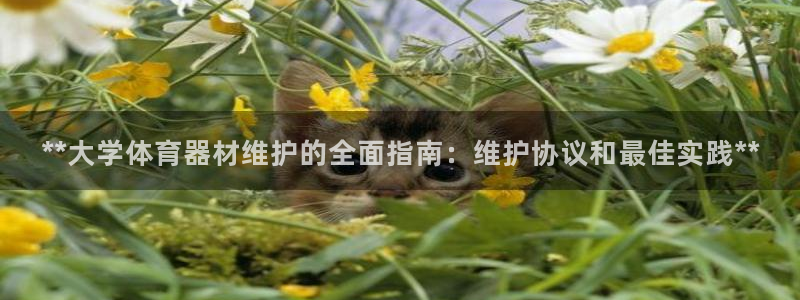 尊龙凯时用户名m：**大学体育器材维护的全面指南：维