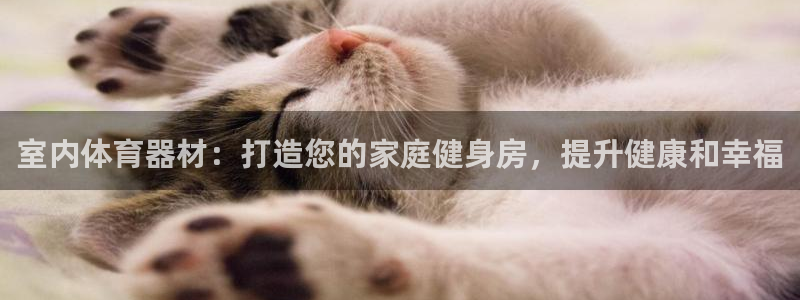 凯时登录界面：室内体育器材：打造您的家庭健身房，提升