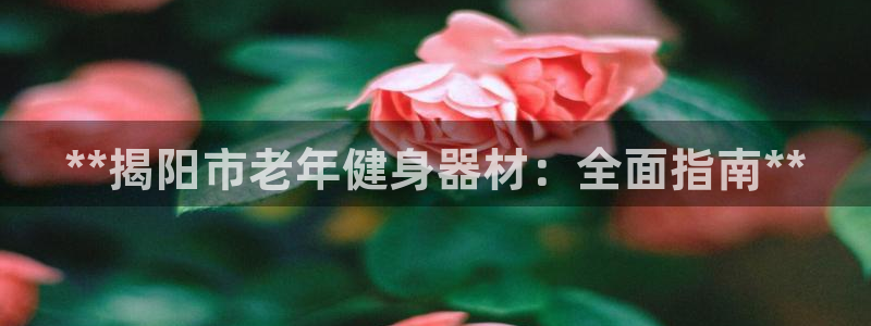 凯时官网联系方式：**揭阳市老年健身器材：全面指南*