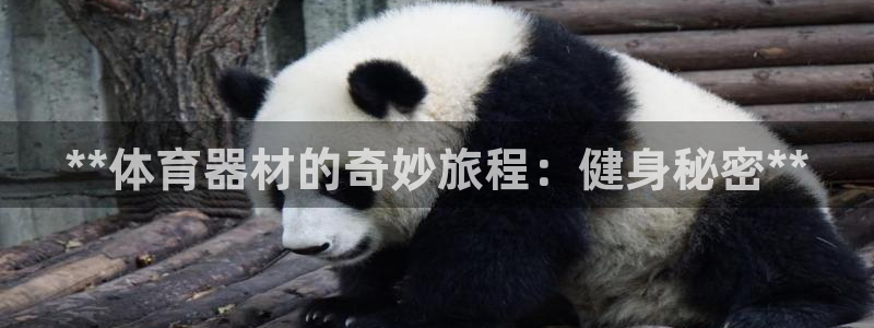 尊龙官方身高：**体育器材的奇妙旅程：健身秘密**