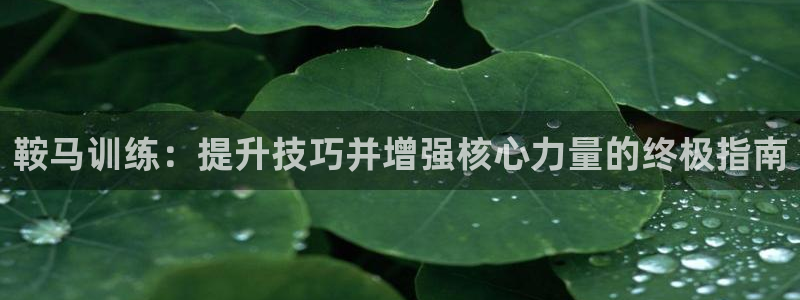 尊龙凯时人生就是搏官：鞍马训练：提升技巧并增强核心力