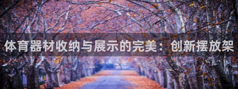 尊龙人生手机版：体育器材收纳与展示的完美：创新摆放架