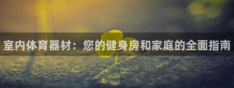 尊龙人生手机版都去ag发财网：室内体育器材：您的健身
