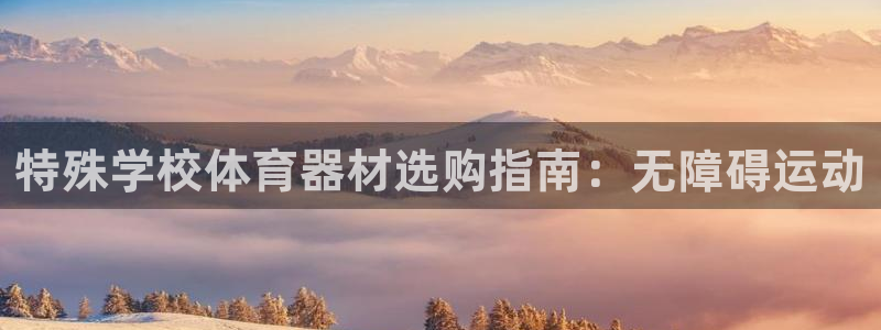尊龙凯时是直营吗：特殊学校体育器材选购指南：无障碍运