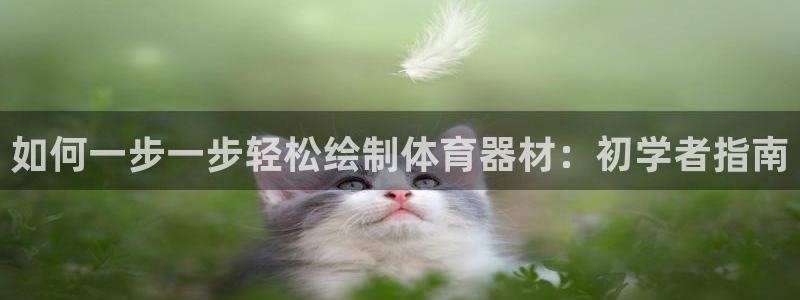 尊龙凯时下载人生就是博：如何一步一步轻松绘制体育器材