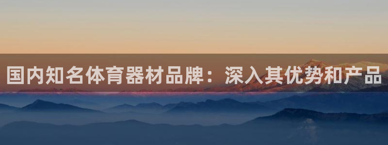 凯时效果怎么样：国内知名体育器材品牌：深入其优势和产