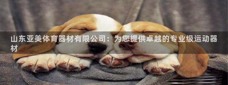 凯时游戏app：山东亚美体育器材有限公司：为您提供卓