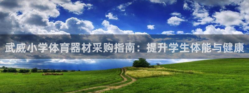 尊龙手机版下载：武威小学体育器材采购指南：提升学生体