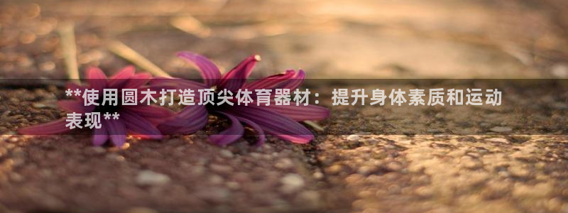 d88尊龙z6：**使用圆木打造顶尖体育器材：提升身