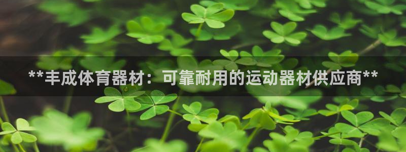 z6尊龙凯时旗