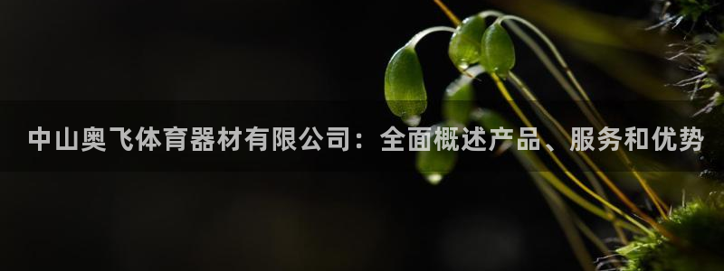 尊龙凯时防屏蔽网址： 中山奥飞体育器材有限公司：全面