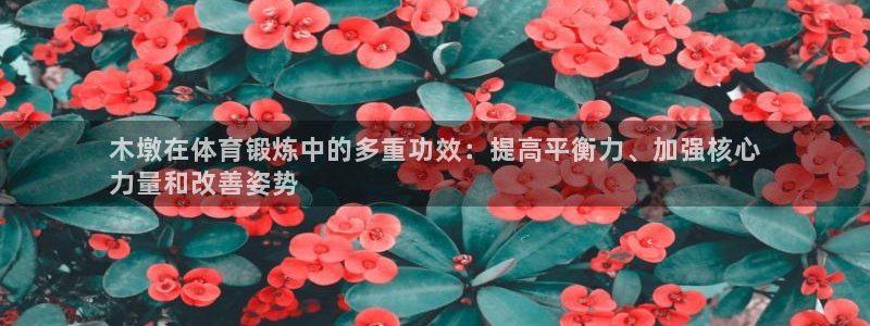 d88尊龙z6：木墩在体育锻炼中的多重功效：提高平衡