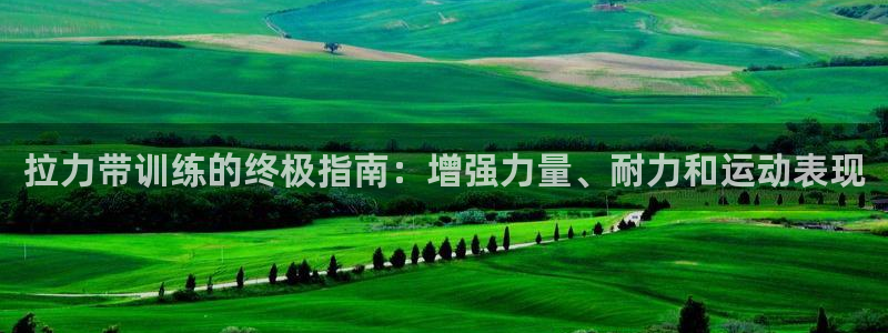 凯时国际app登录：拉力带训练的终极指南：增强力量、