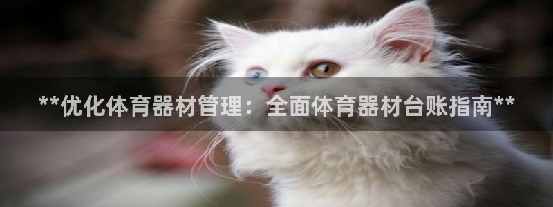 凯时app赢AG发财网来就送38