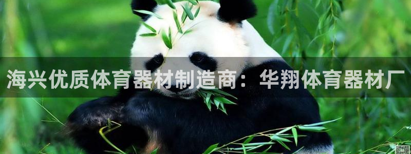 尊龙官网网页版：海兴优质体育器材制造商：华翔体育器材