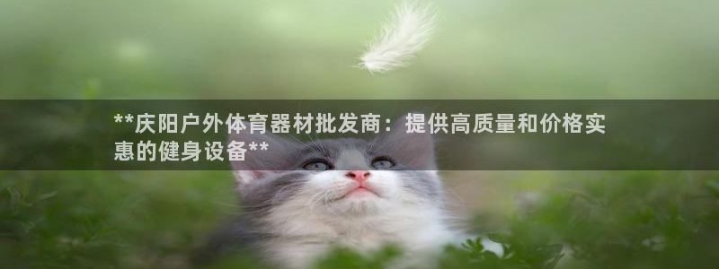 尊龙凯时出款：**庆阳户外体育器材批发商：提供高质量