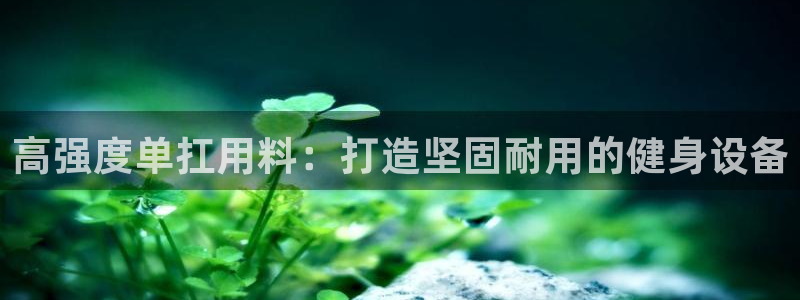 z6com尊龙凯时百家乐：高强度单扛用料：打造坚固耐