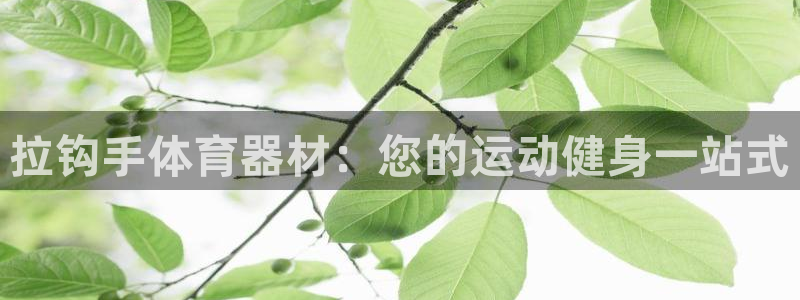 尊龙官网国际：拉钩手体育器材：您的运动健身一站式