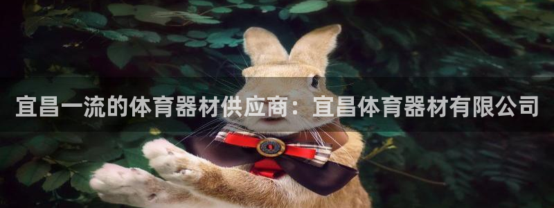 尊龙d88官网新版：宜昌一流的体育器材供应商：宜昌体
