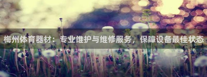 尊龙,人生就是搏：梅州体育器材：专业维护与维修服务，
