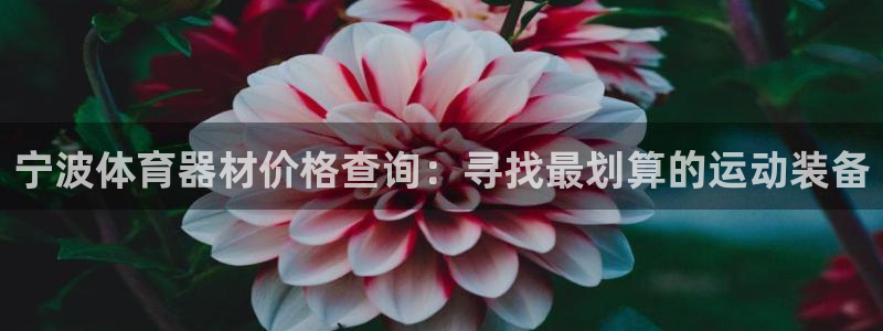 尊龙凯时ag旗舰厅官网客服：宁波体育器材价格查询：寻