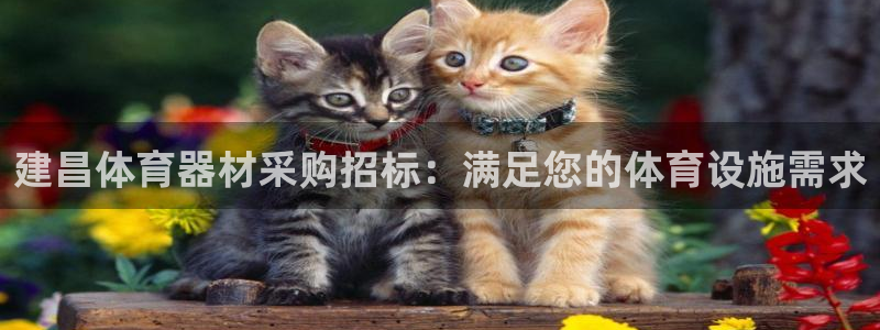 尊龙凯时网站登录：建昌体育器材采购招标：满足您的体育
