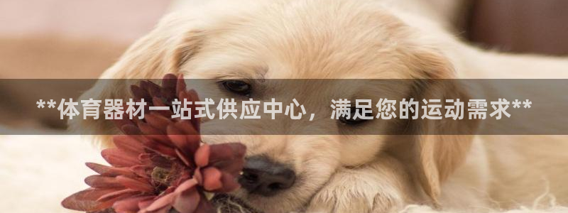 尊龙一人生就是博尊：**体育器材一站式供应中心，满足