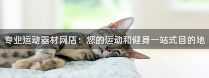 尊龙凯时人生就是搏!官网：专业运动器材网店：您的运动