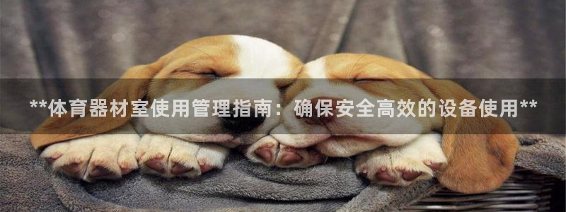 凯时平台官网RA来就送38：**体育器材室使用管理指