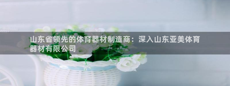 尊龙凯时百万奖池：山东省领先的体育器材制造商：深入山